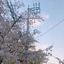 GS25석촌호수 이미지