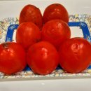 늘편한한의원 이미지