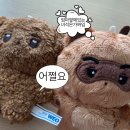 장혜원음악학원 | 사랑은 그저 단어일 뿐이야