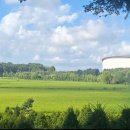 연희자연마당 공원 | 인천 연희자연마당 산책 후기｜생태휴식공간·맨발걷기·연꽃·볼거리 총정리