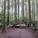 한라산둘레길 사려니숲길 이미지