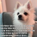 헤이스토리 이미지