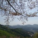 청산 - 수성구 범어천로 155-23 | 청산