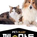 새롬애견 이미지