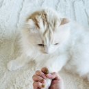 아랑네일 - 파주시 | 🔥인스타홍보 없어도 유명한 1년 다닌 안양네일샵 안양 아랑뷰티 찐단골 후기 (유지력 미쳤음)