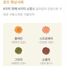 몽슈슈신세계백화점 이미지