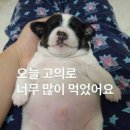 지금