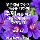 샬롬 - 제주시 신광로 27 | 샬롬