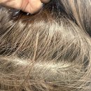 바이오헤드 | [중랑] 사가정 미용실 누리달에서 나인바이오 헤드스파 받은 후기