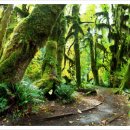 (주)폴라리스호텔 이미지