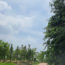 구석기체험숲3 이미지