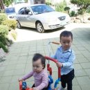 서영이 할머니네 이미지