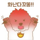 꼬똥켄넬 이미지