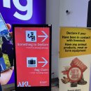 나라약품 | 뉴질랜드 입국심사 식품 약품 신고 후기! 가방 안 열고 통과하는 꿀팁