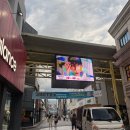 로피하우스 이미지