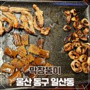 막창뚱이 | 울산 동구 막창 일산지 가성비 무한리필 막창뚱이