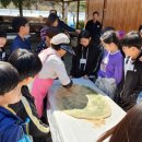 어론초등학교 이미지