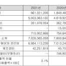 디아이시스템(주)
