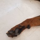 이십구쩜오 이미지