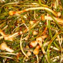 향-고향의 봄 이미지