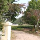 주남초등학교 이미지