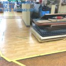 황금숙녀복 이미지