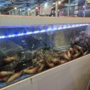 하대동129 이미지