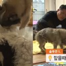 대승솔루션