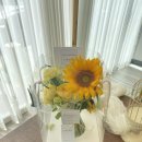 사파동366 이미지