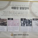 미사역 프리미엄 민물장어 맛집 - 해품장 팔팔장어
