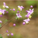 (주)위라이프 이미지