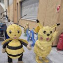 합천군 주민서비스 박람회 | 벡스코 2025 식품박람회 - 일정 참가업체 재입장여부 증정