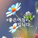 Angel Of The Morning/Wanted /The Moody Blues - The Voice/Stand By Your Man 이미지