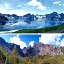 본백