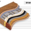 에프이디 이미지