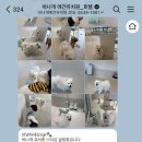 바나개 애견유치원 호텔 이미지