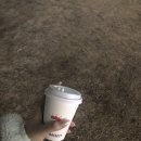 금강회수산 이미지