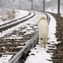 화인부동산공인중개사사무소 이미지