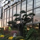 이레가든 이미지