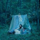 밤의나라