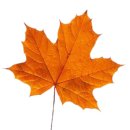 진산농업협동조합 | 대둔산 케이블카 근처 펜션 추천, 대둔산 빌리지 펜션 바베큐 후기