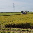 수빈농장 이미지