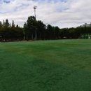 신트리공원(축구장) 이미지