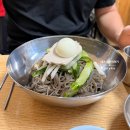 춘천메밀막국수 | 청량리 춘천막국수 방문 후기 🥢✨ (+메밀 찐 만두)