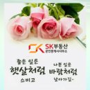 대지유통