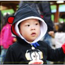 민성목장 이미지