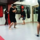 팀 팻보이 이미지