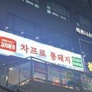 차프로통돼지 이미지