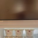 샤네리 | 4박 5일 오사카사카