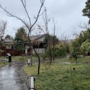 무이림5 이미지